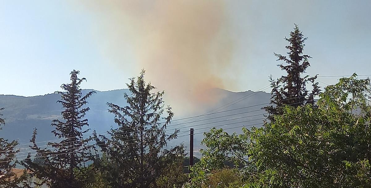 3983698810109163 237294716 3256762677781978 2492696268850746035 n