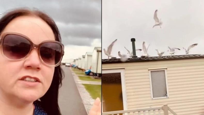 3983816642236265 image