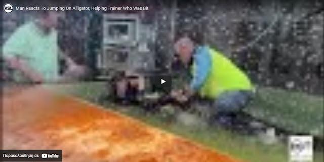 3985259246232385 image