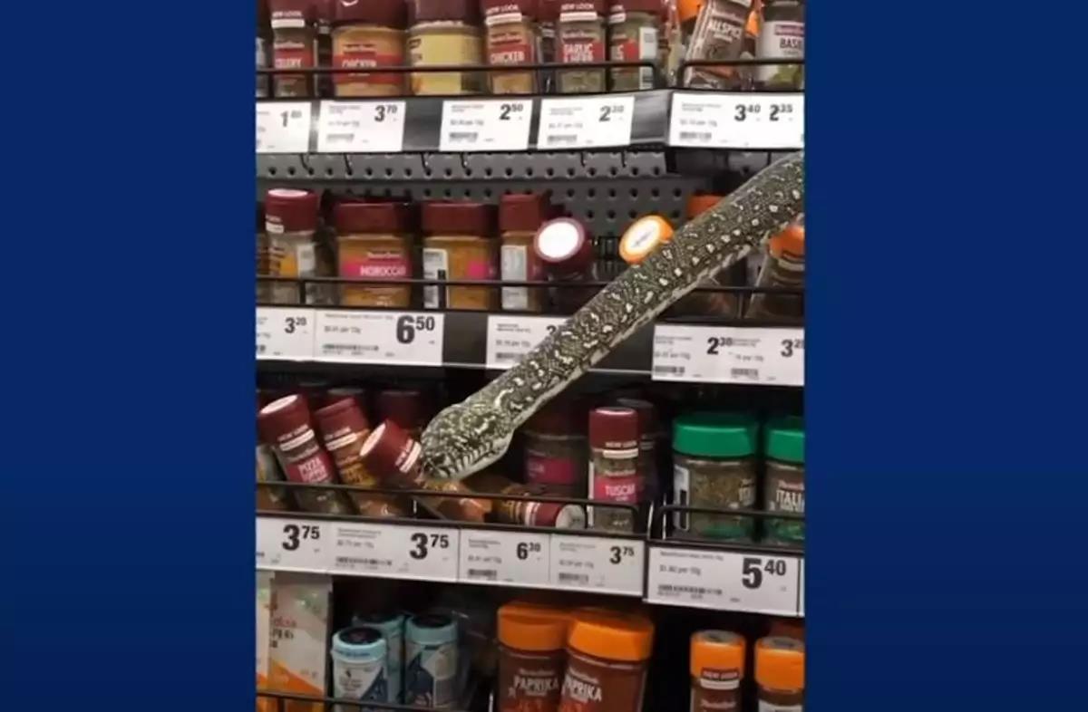 3985336217262696 image