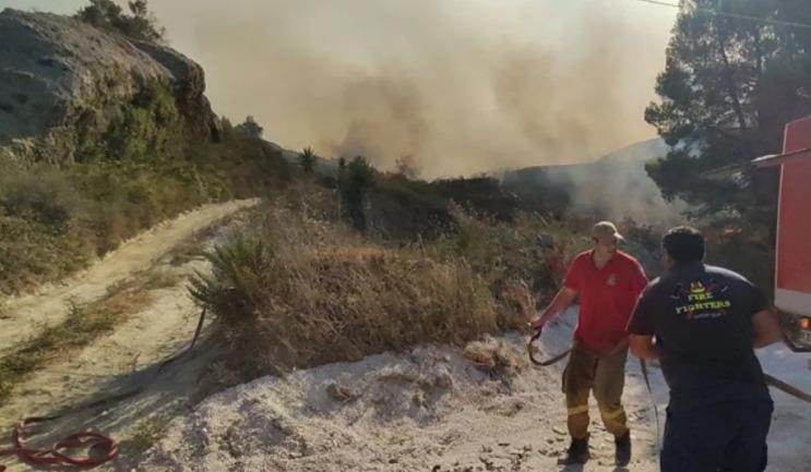 3988040582496145 image