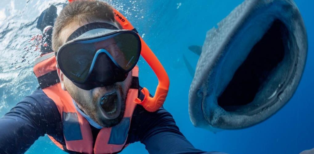 3988759160797560 image