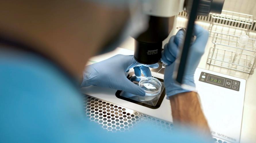 3989582552527488 236995349 222465356364883 4903784739625002015 n