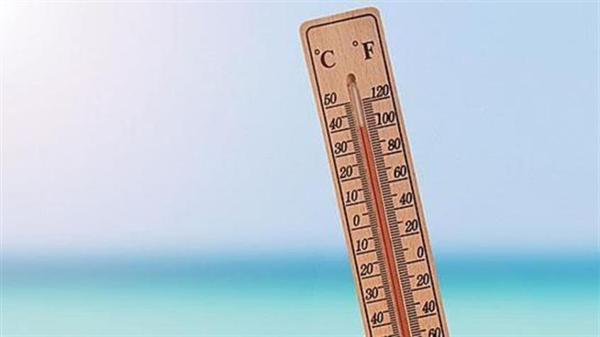 3989648761951907 image