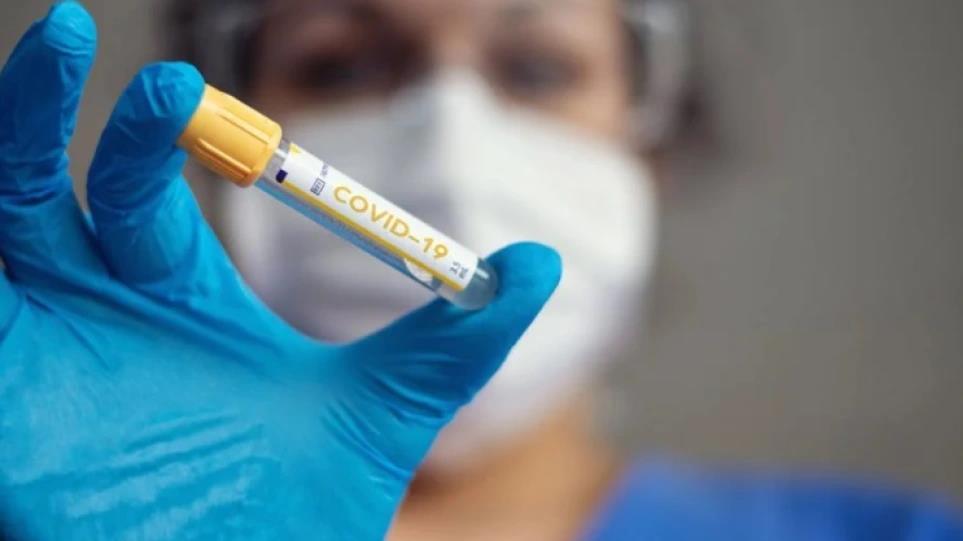 3991435781450664 image