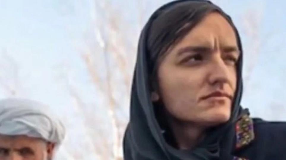 3991620620636552 image