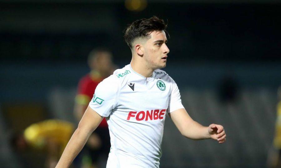 3992921731215151 image