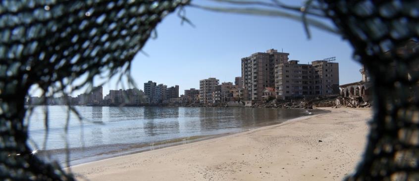 3992994025623165 image