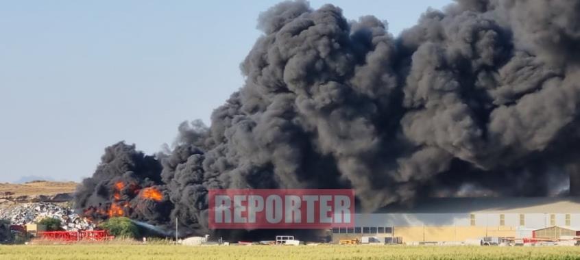 3993053452208715 image