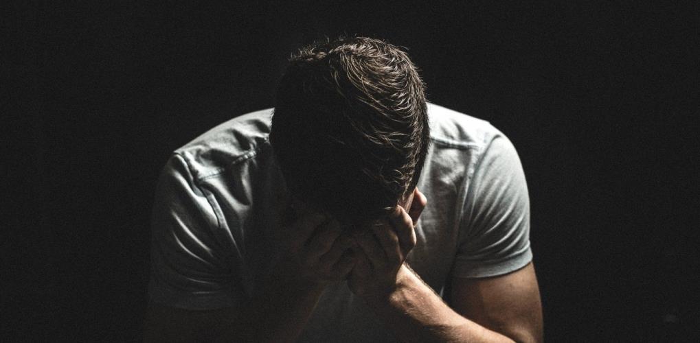 3994094417121028 image