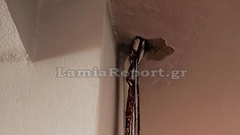 3994959767011901 image