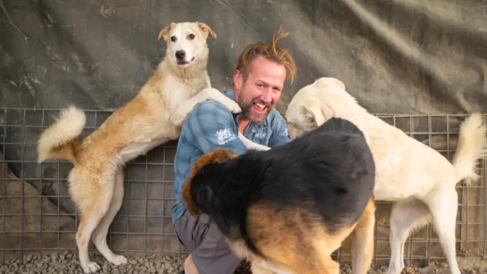 3995056728213037 image