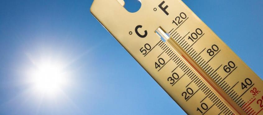 3996255461664027 image