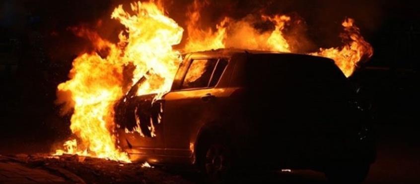 3996275405159055 image