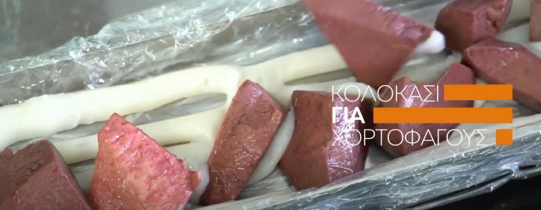 3997422410026690 image