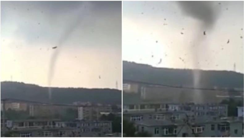 3999184079300424 image