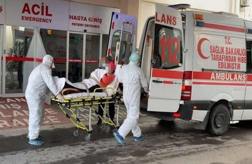 3999331741837537 image