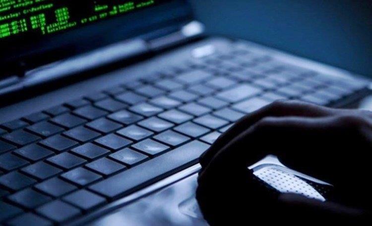 4004434073039799 image