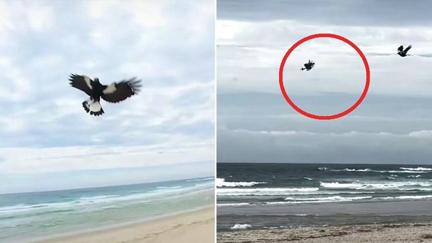 4006755989277810 image