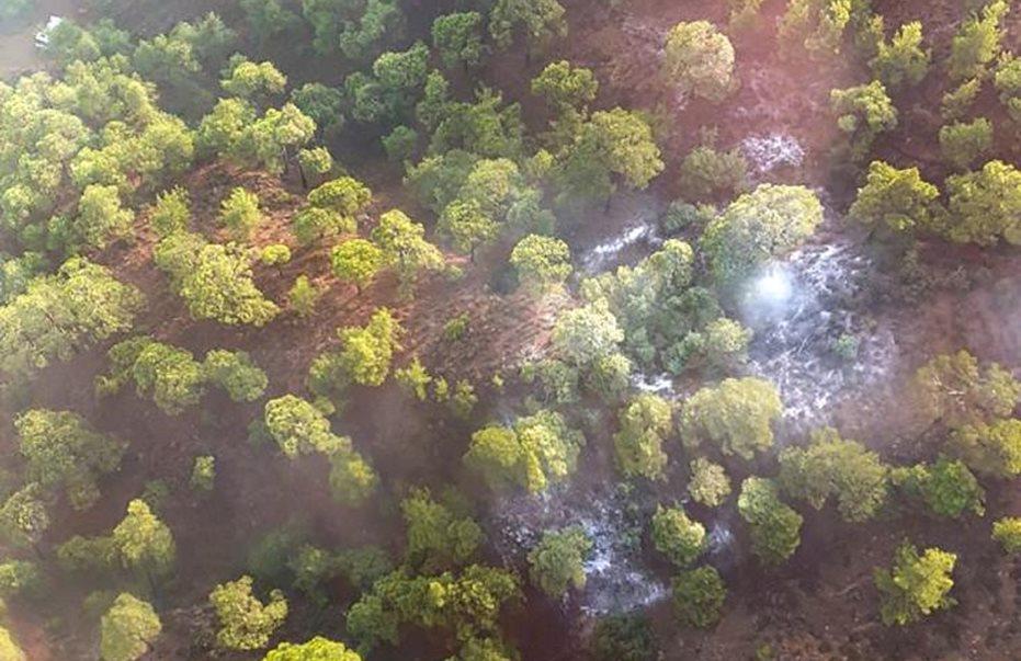 4007666128518999 image