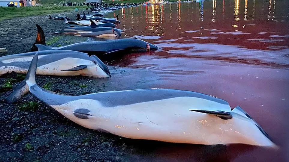 4008764860081870 image