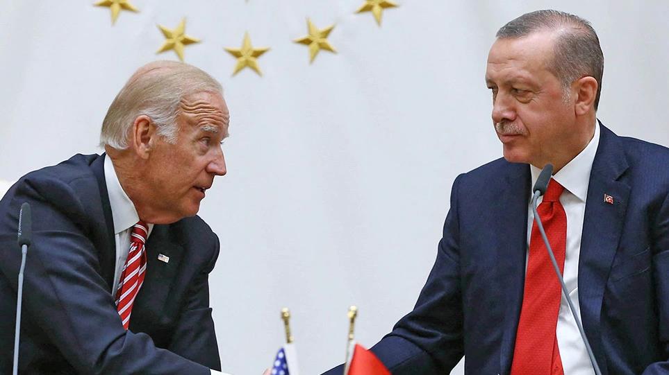 4016693054172231 image