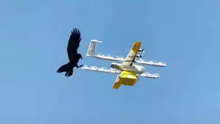 4018157264620060 image