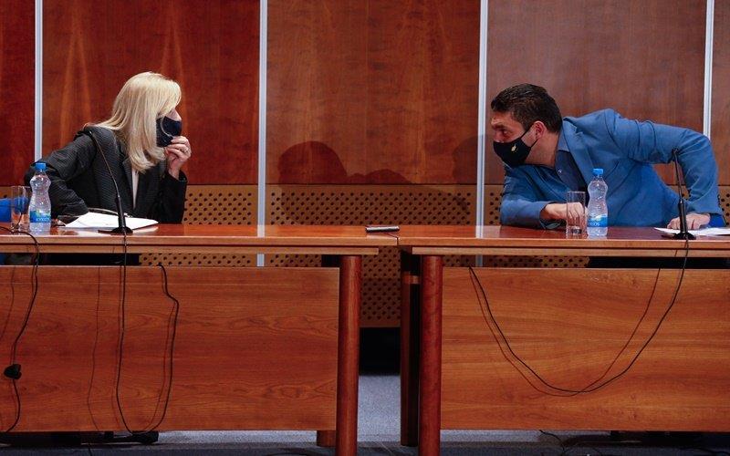 ΖΕΤΑ ΠΕΤΡΙΔΗΣ