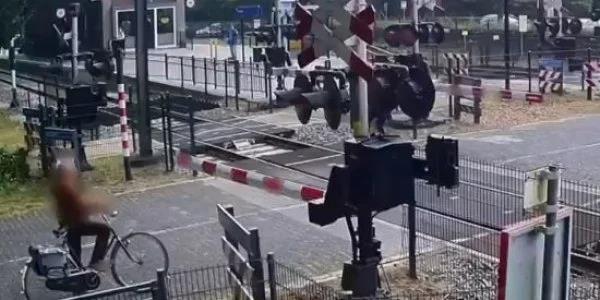 4018218679240275 image