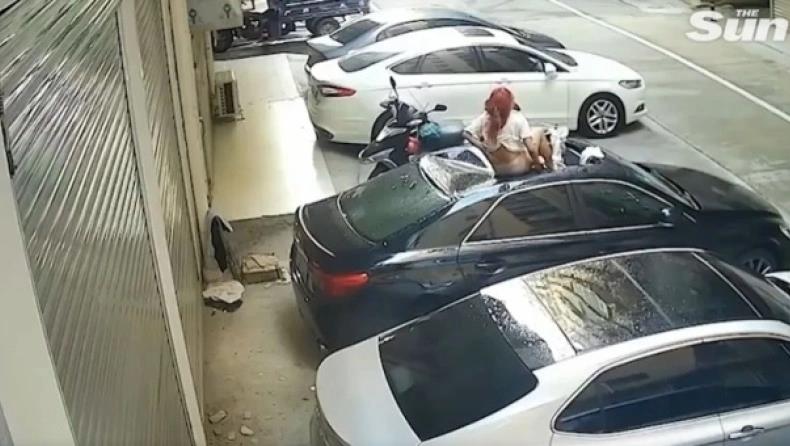 4018859614664639 image