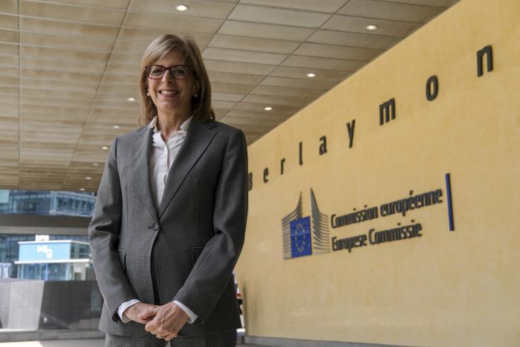 4019008566229325 image