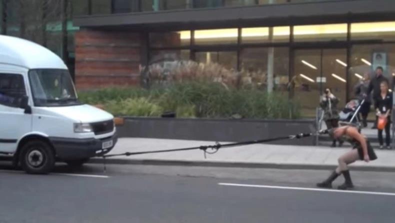 4032879677932229 image