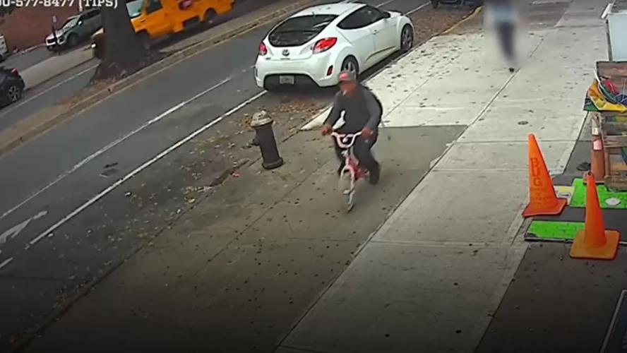 4032980966867552 image