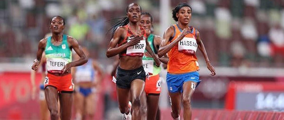 4033709592661881 Tirop