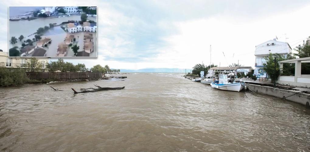 4035569237882111 image