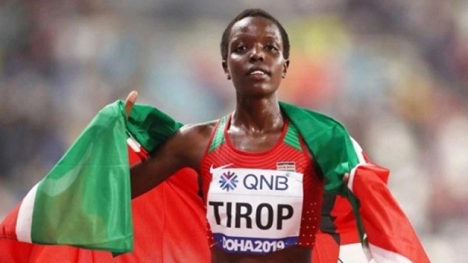 4035578274217649 image