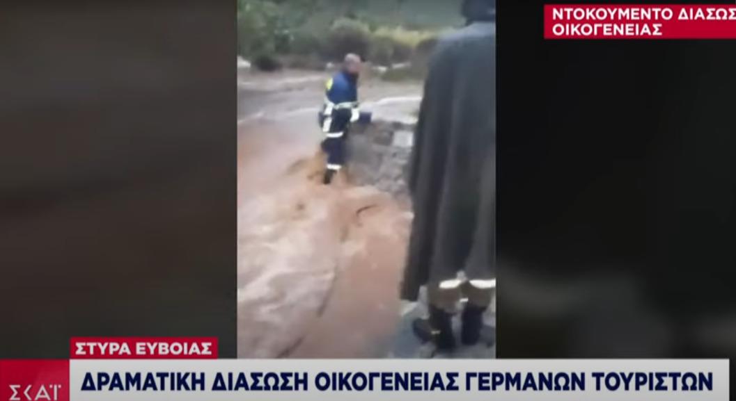 4035653678781713 image