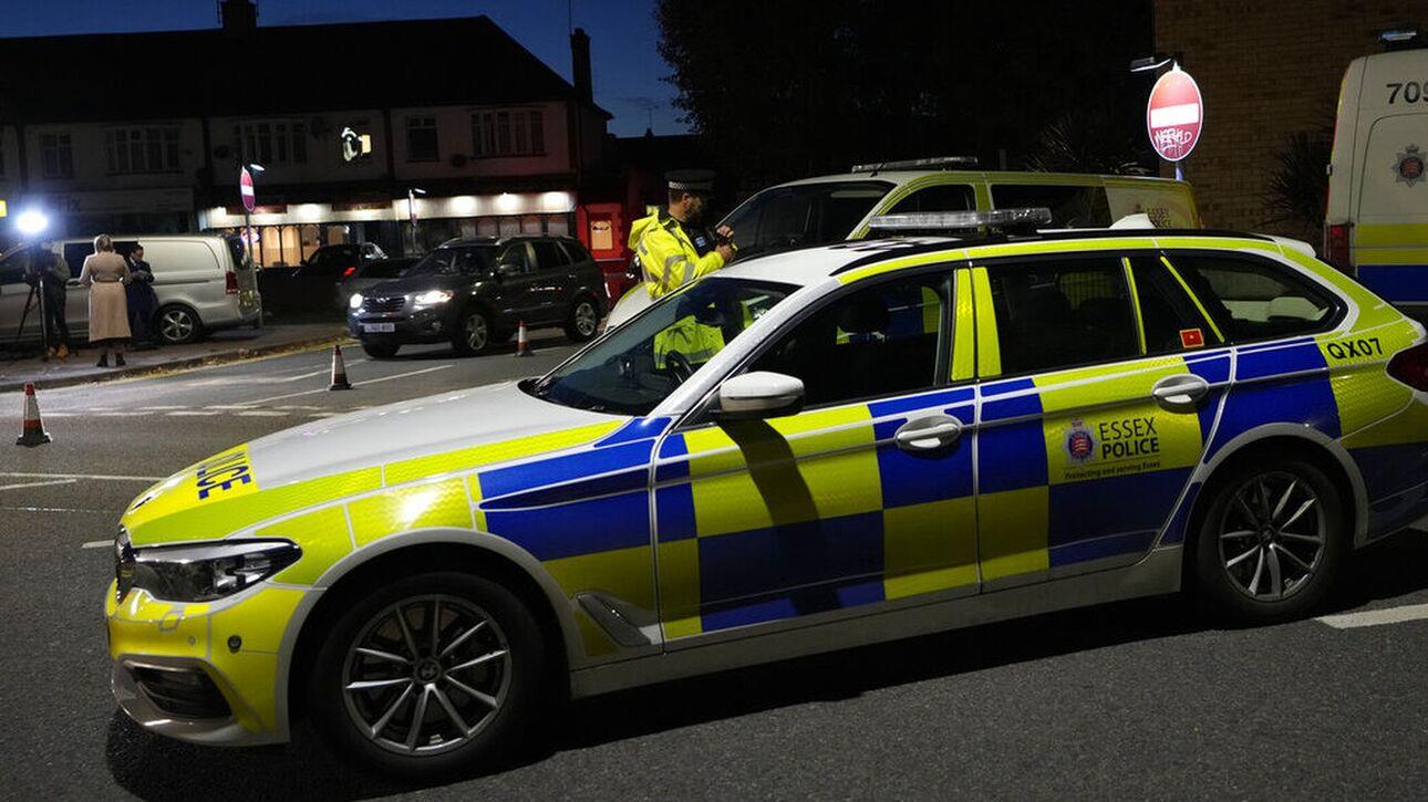 4035699443453825 image