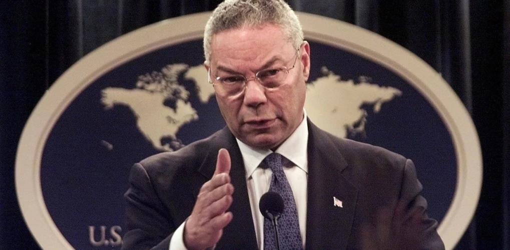 4038020278310990 image