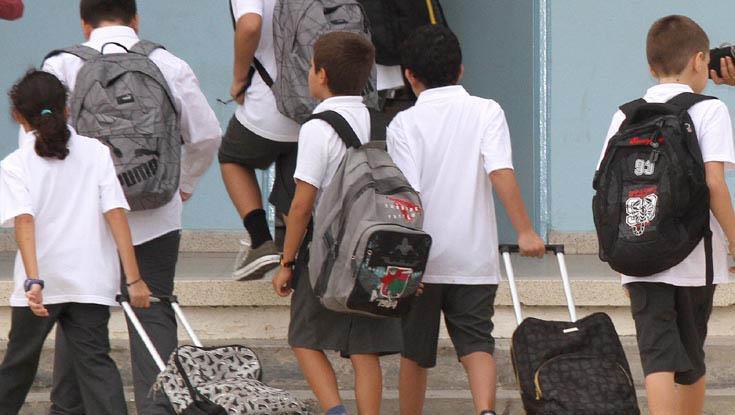 4039116832992993 image