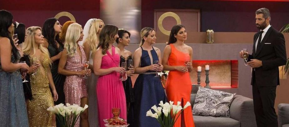 4040355605296871 image