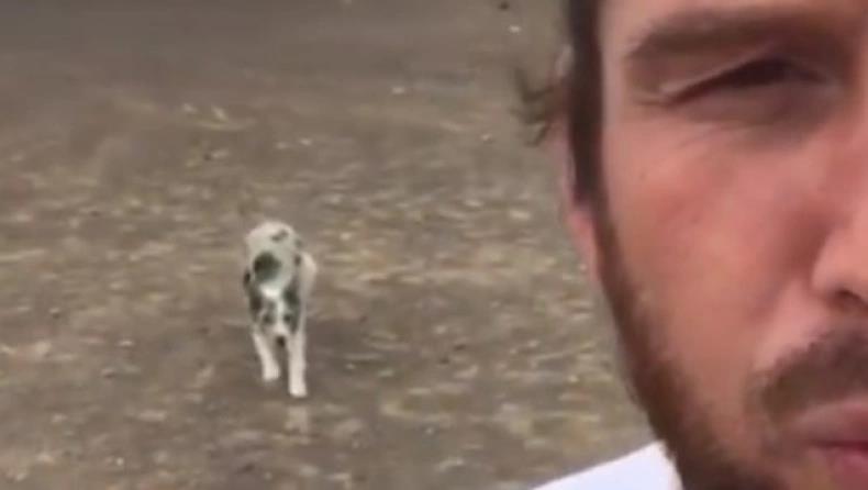 4041258408432498 image