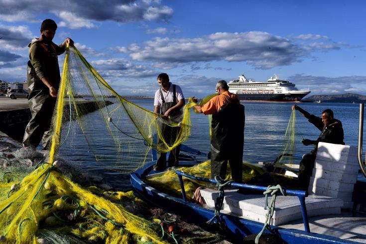 4044960977407360 image