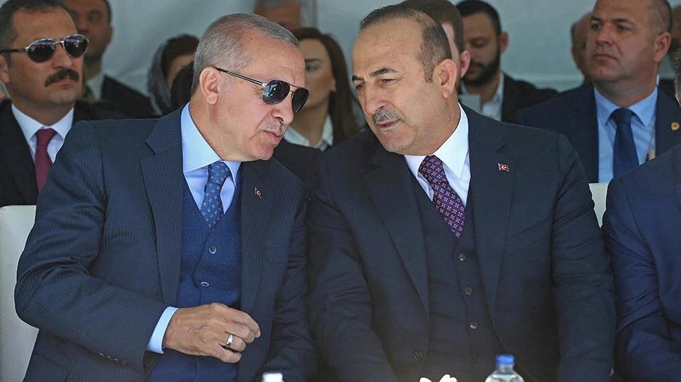 4045532161328266 image