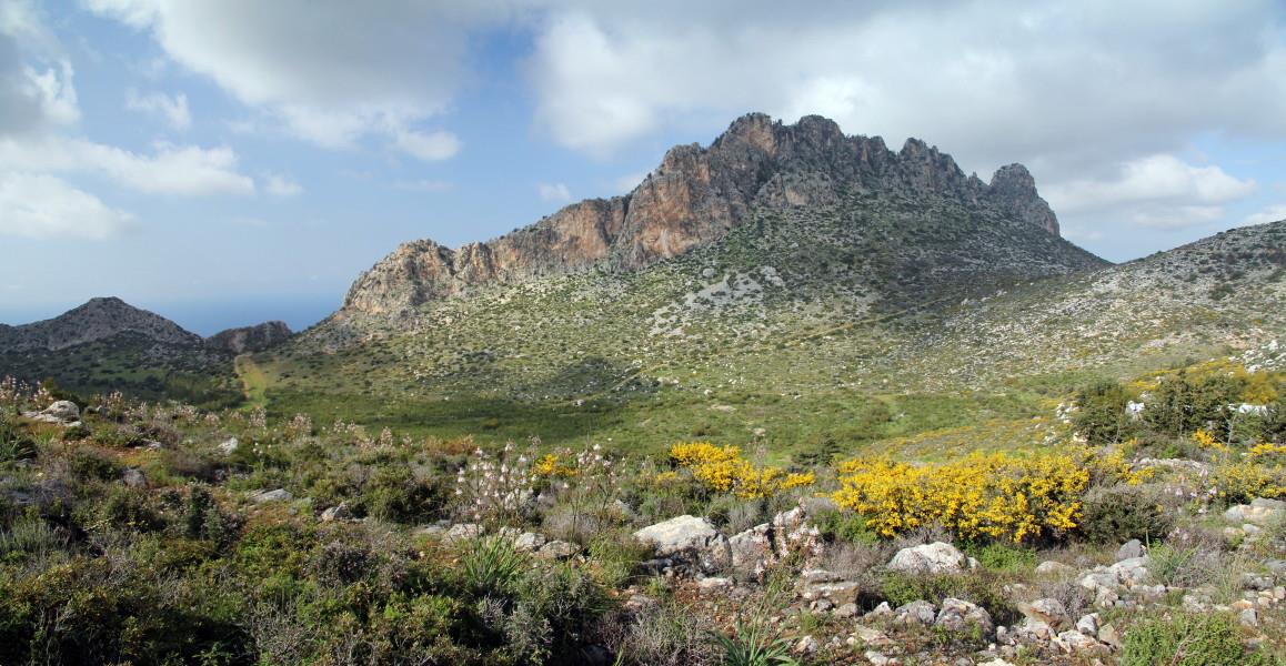 ΠΕΝΤΑΔΑΚΤΥΛΟΣ