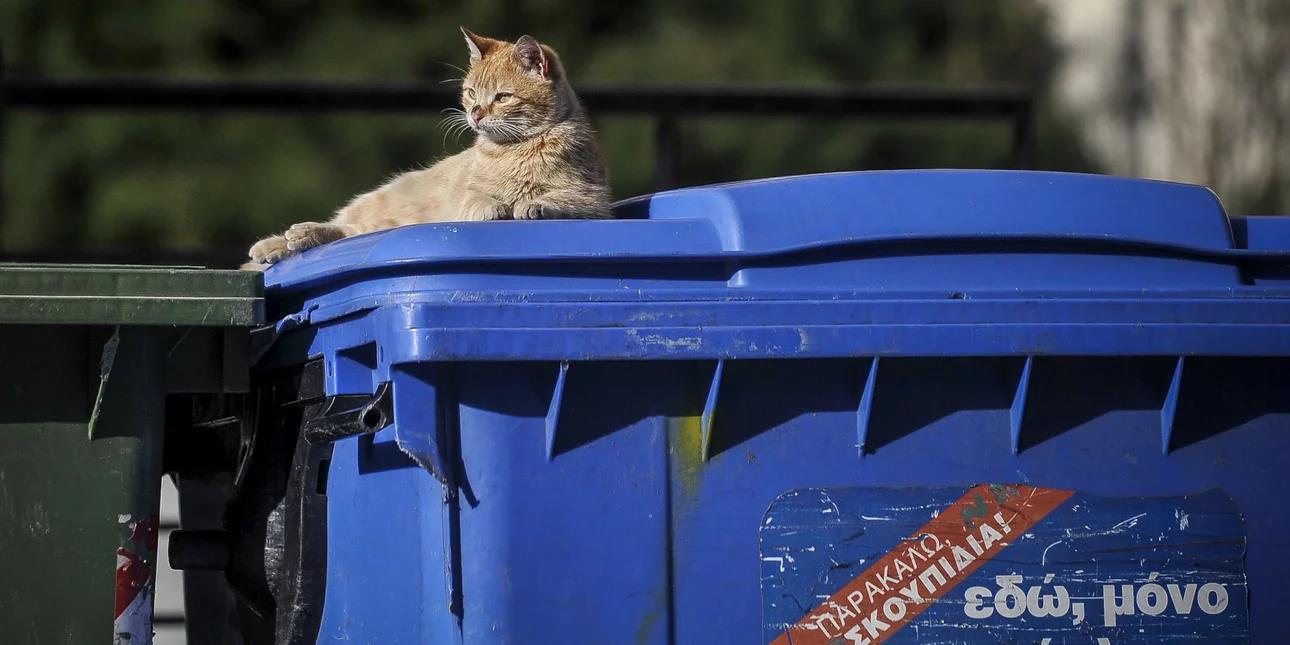 4051556830291173 image