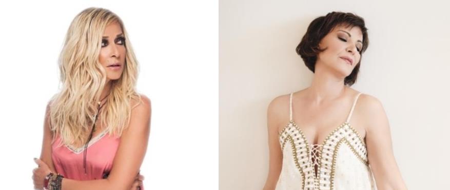 4052623541775993 image