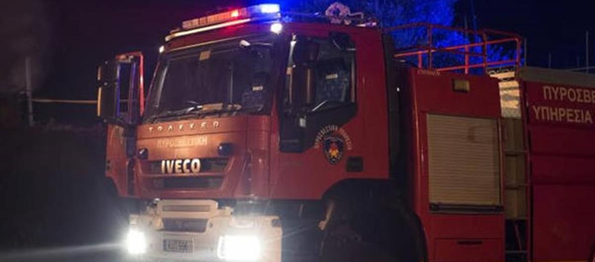 4058463374098123 ImageHandler