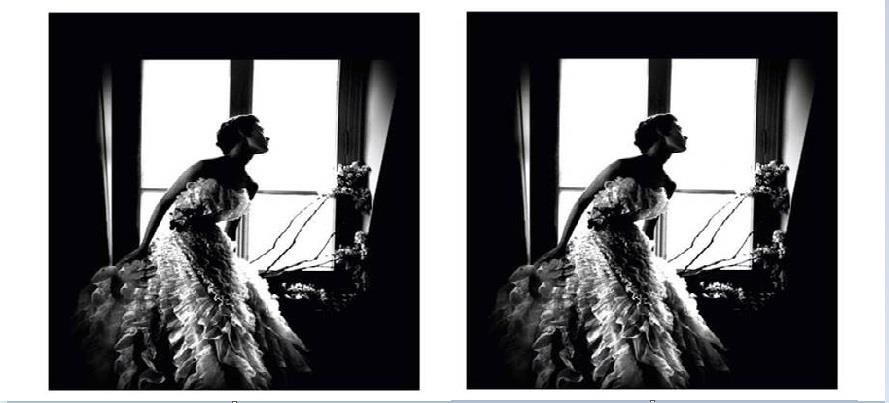 4059570366971410 255425947 1082205512534989 4271178144375071718 n