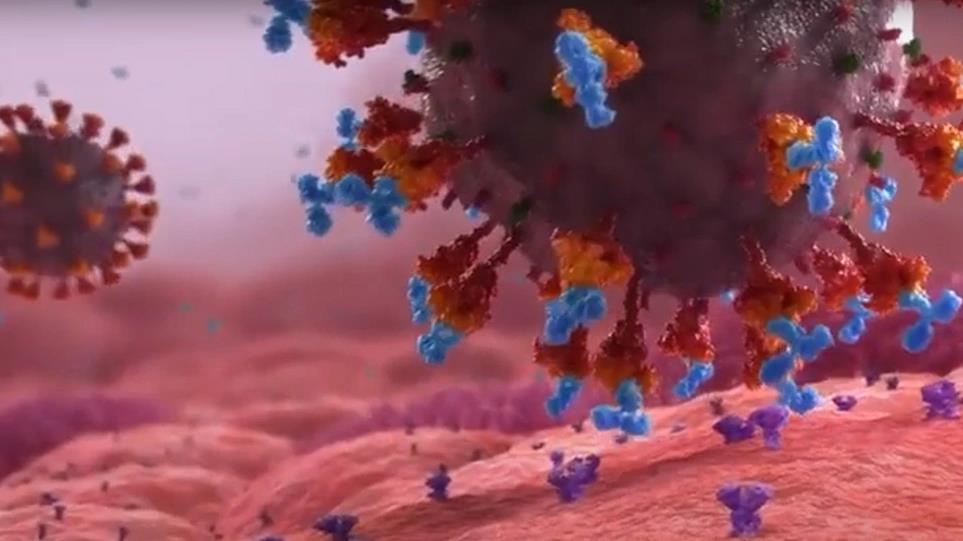 4060723949836579 image